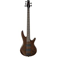 Los mejores  - Ibanez GSR205B - Wnf bajo eléctrico